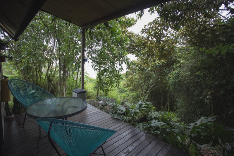 Deck con hamaca frente al bosque