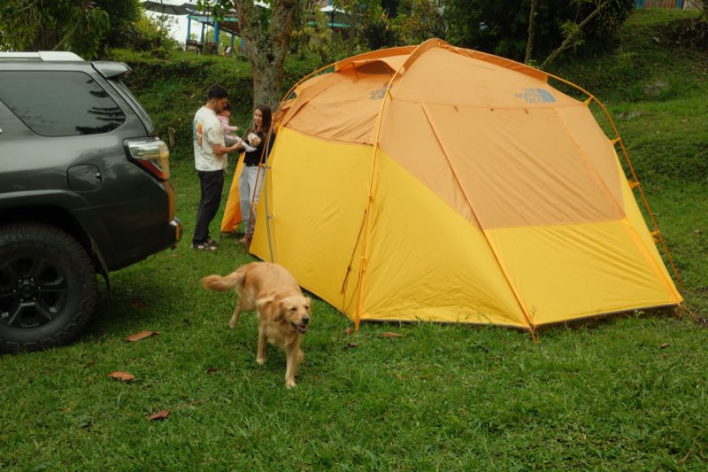 Camping