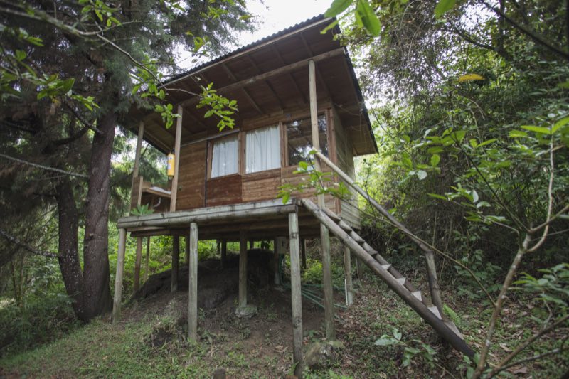 Glamping Abibe y Citara